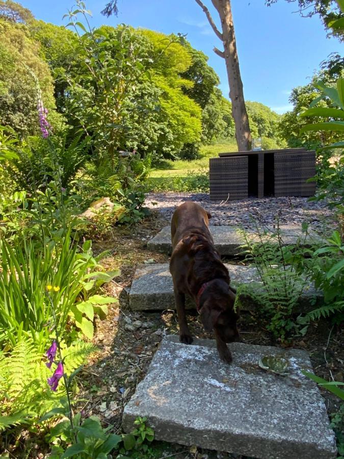 Red River Stables - Peaceful, Beautiful Grounds, Swimming Pool, Central Location For West Cornwall Camborne Exterior photo