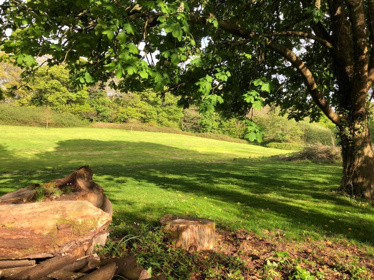 Red River Stables - Peaceful, Beautiful Grounds, Swimming Pool, Central Location For West Cornwall Camborne Exterior photo